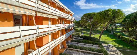 Three-room apartment with view of the pine forest