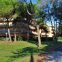 Atollo